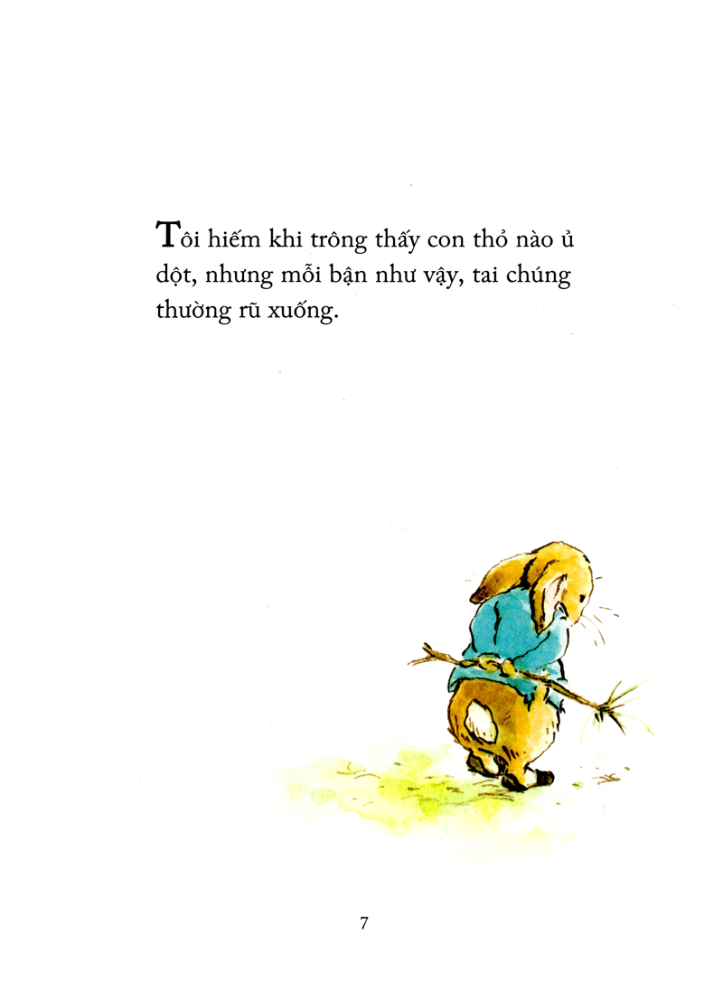 thỏ peter - chuyện bây giờ mới kể - nhà vô địch peter (tái bản 2021) - Ảnh 3