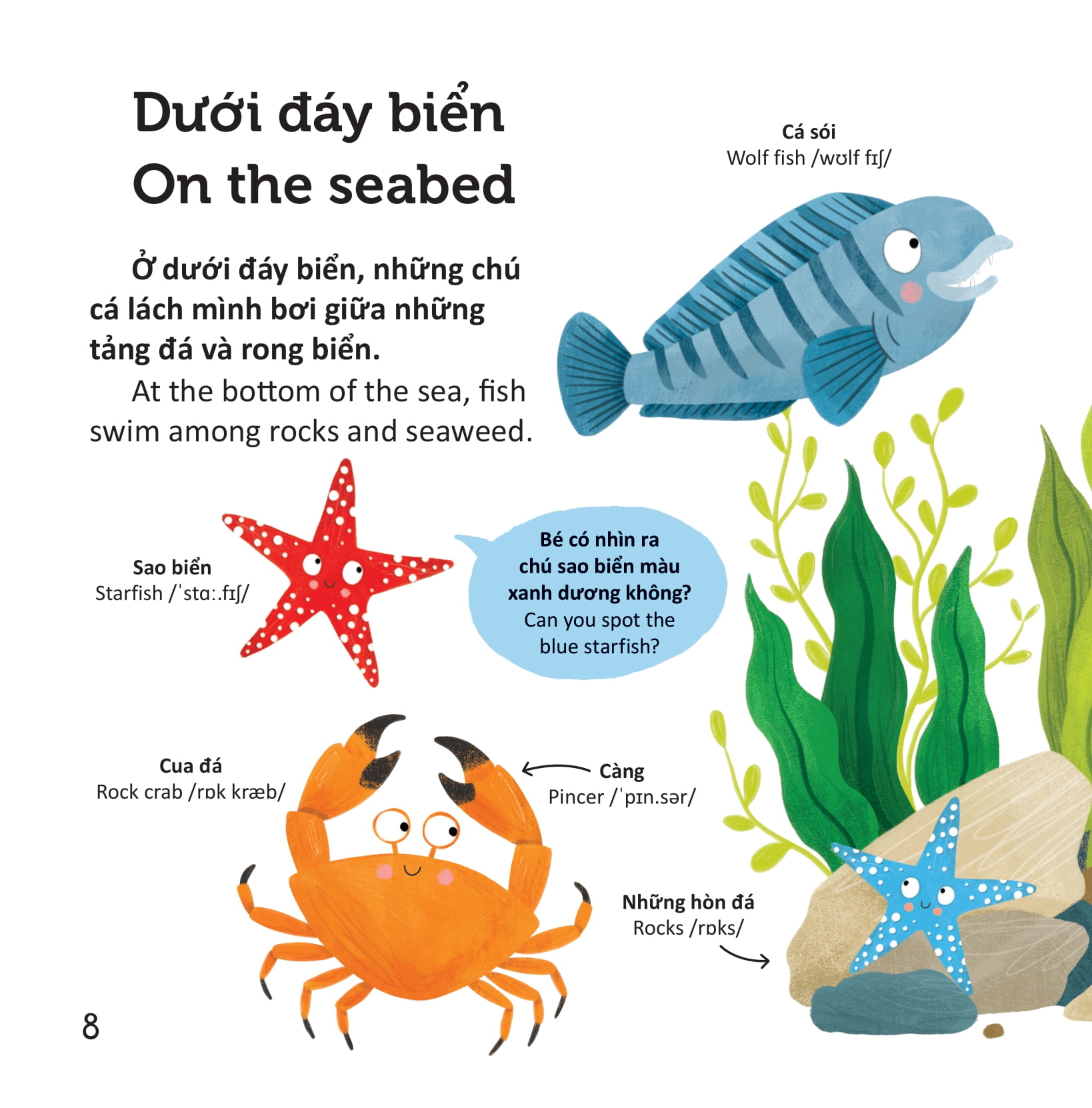 thư viện từ vựng đầu đời cho bé - động vật dưới biển - under the sea! - Ảnh 7
