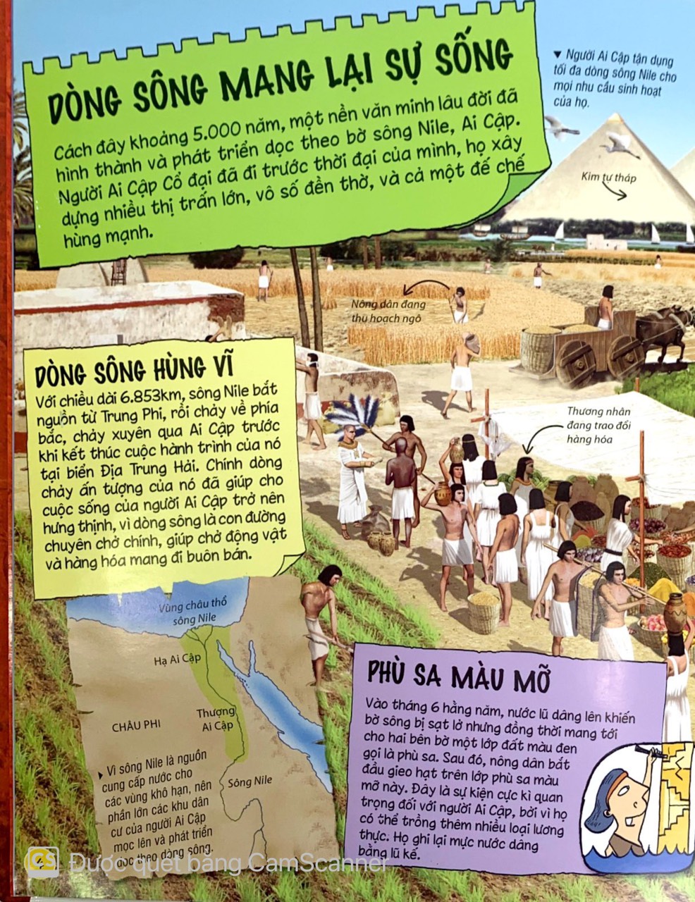 tìm hiểu về ai cập cổ đại - Ảnh 4