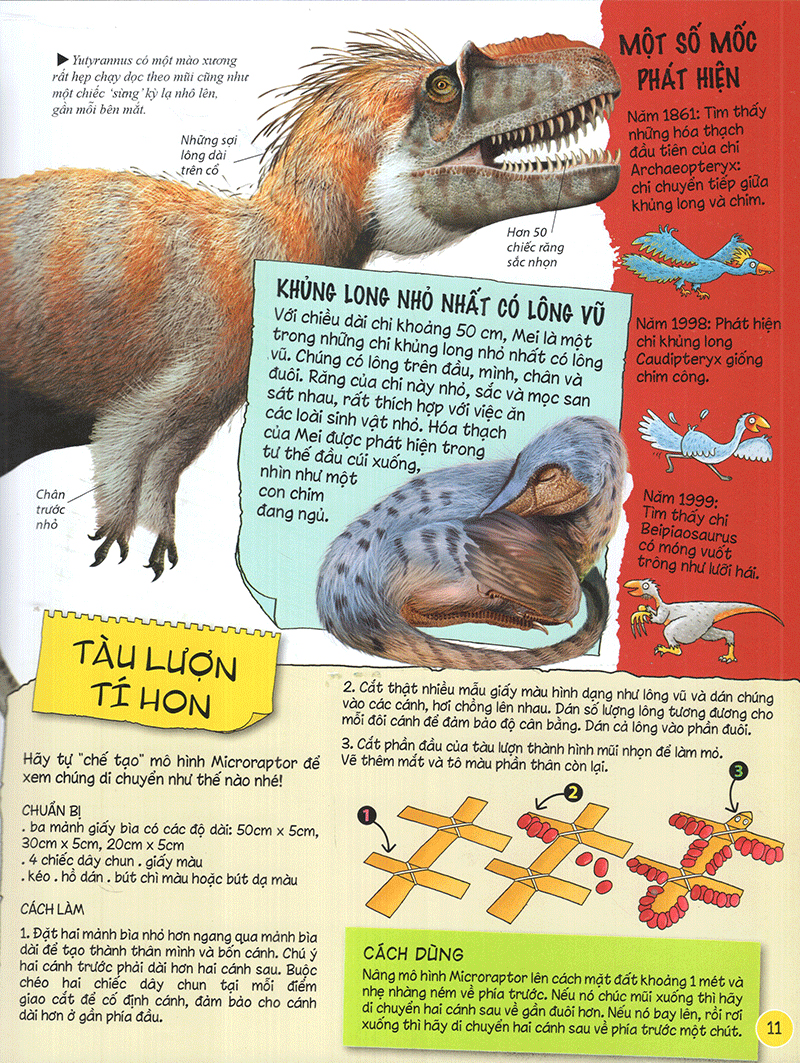 tìm hiểu về khủng long - Ảnh 12