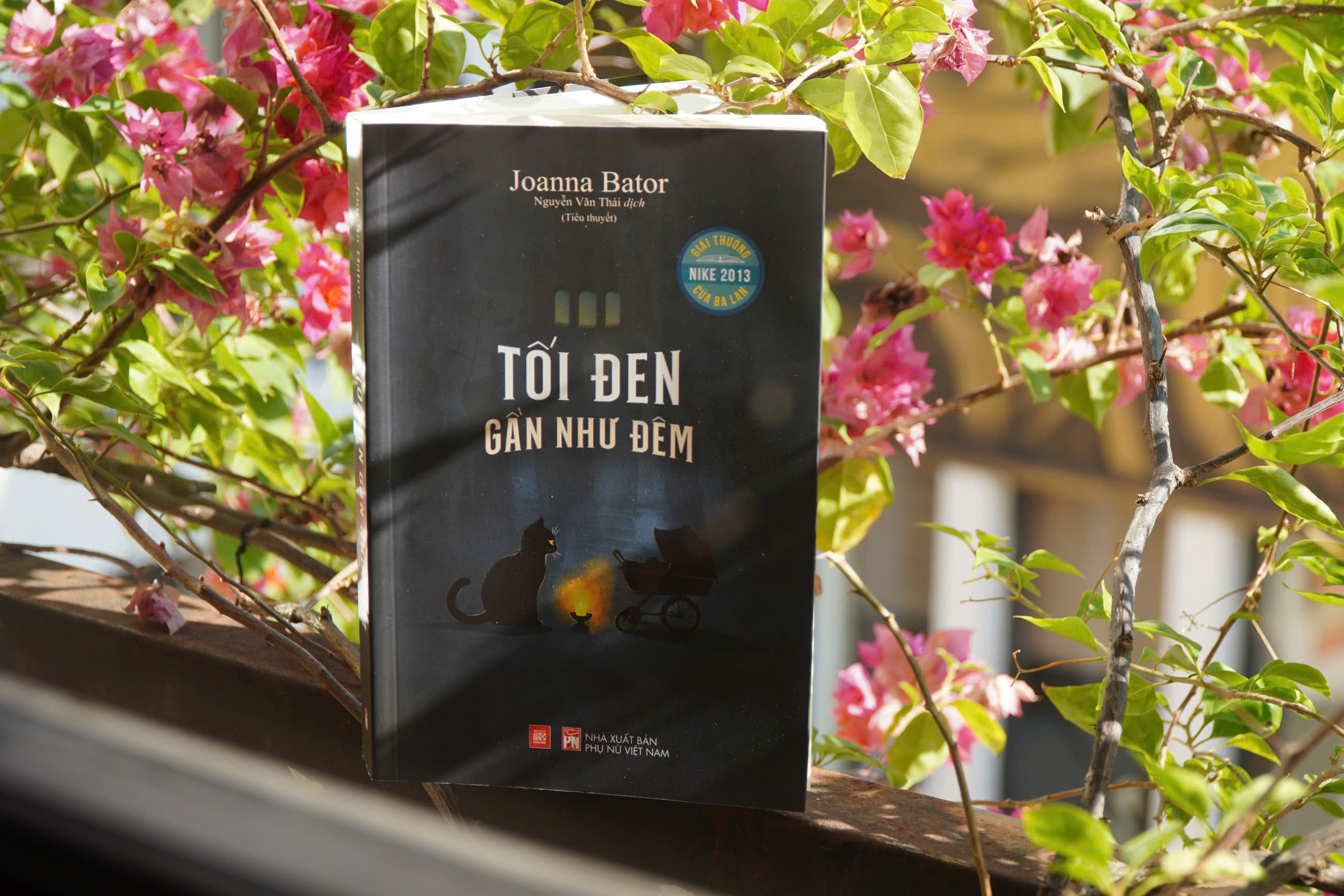 Tối Đen Gần Như Đêm - Ảnh 5