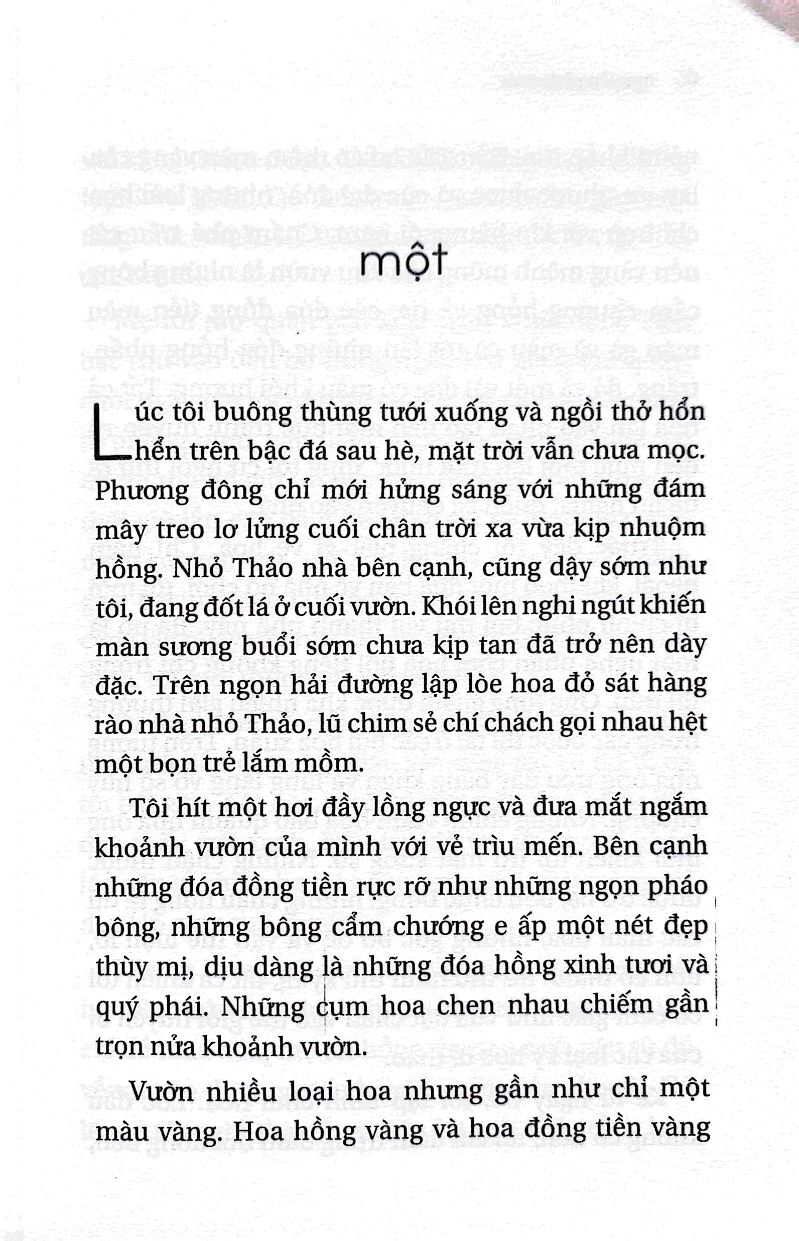 trại hoa vàng (tái bản 2022) - Ảnh 3