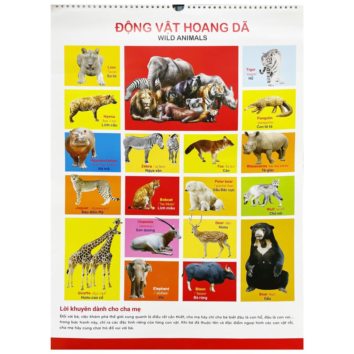 tranh treo tường cho bé (dành cho bé từ 2 đến 6 tuổi) - Ảnh 3
