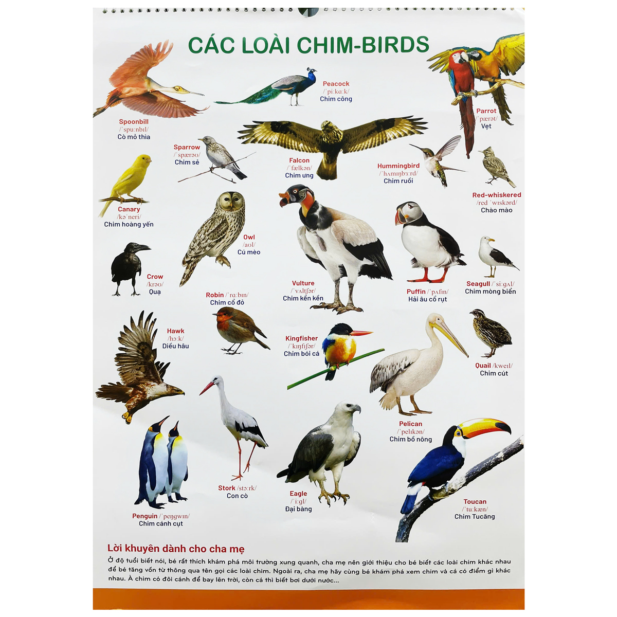 tranh treo tường cho bé (dành cho bé từ 2 đến 6 tuổi) - Ảnh 6