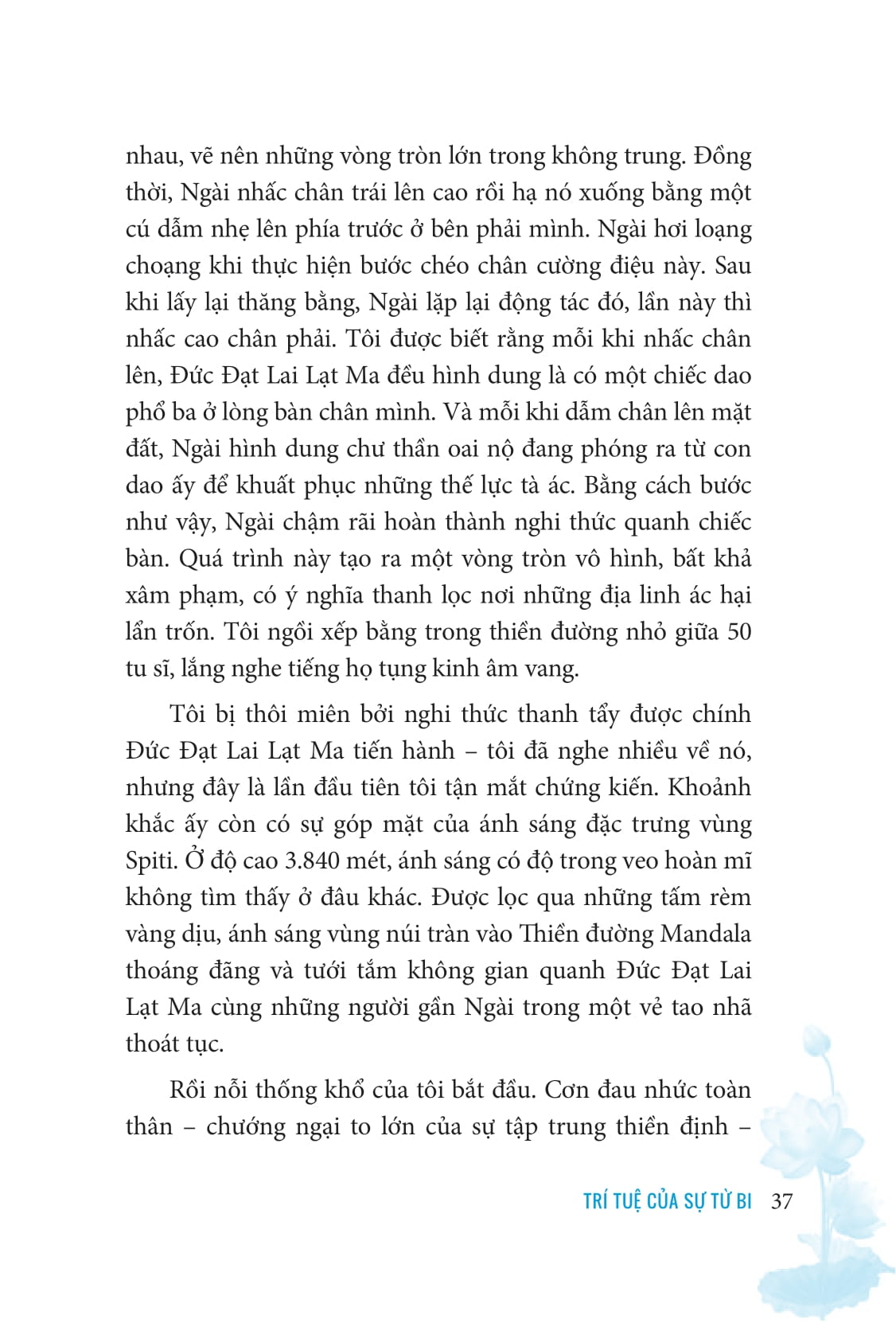 trí tuệ của sự từ bi - the wisdom of compassion - Ảnh 9