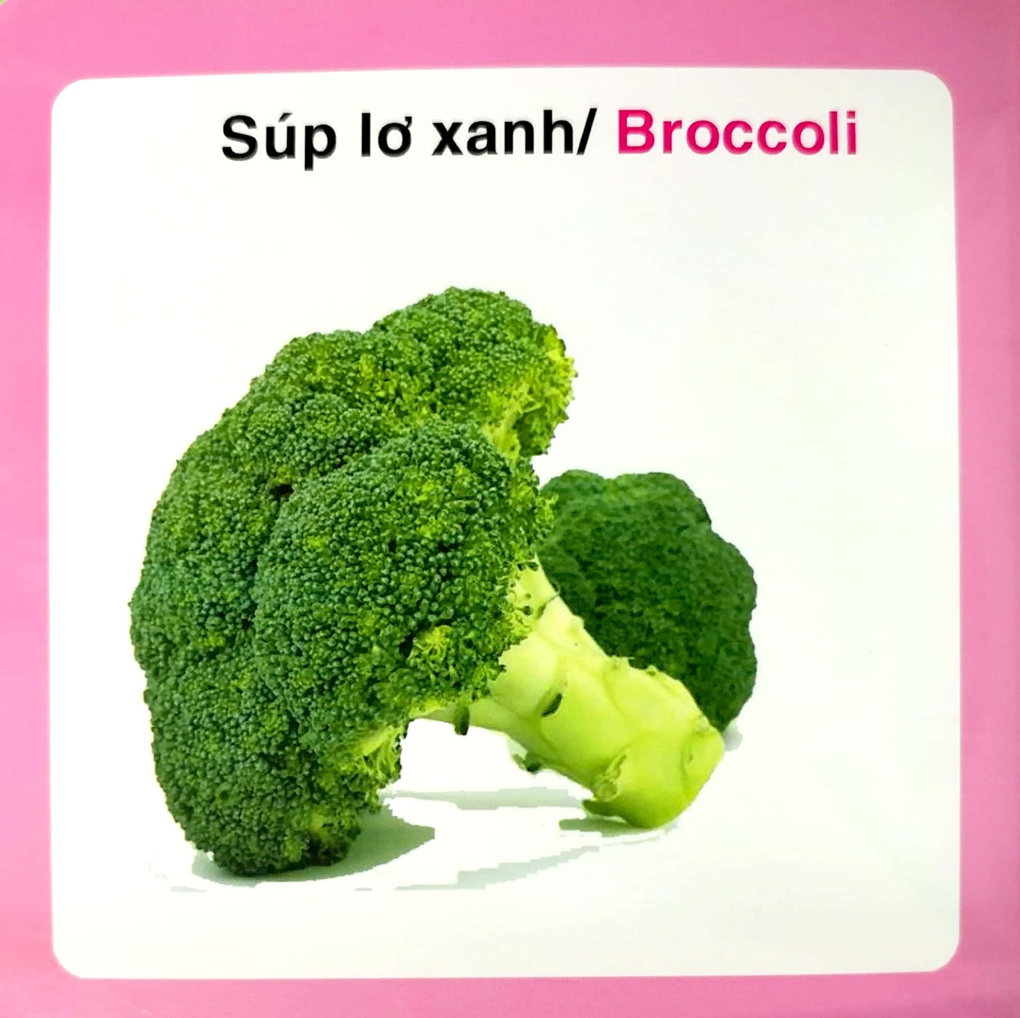từ điển hình ảnh cho bé - rau củ - Ảnh 5