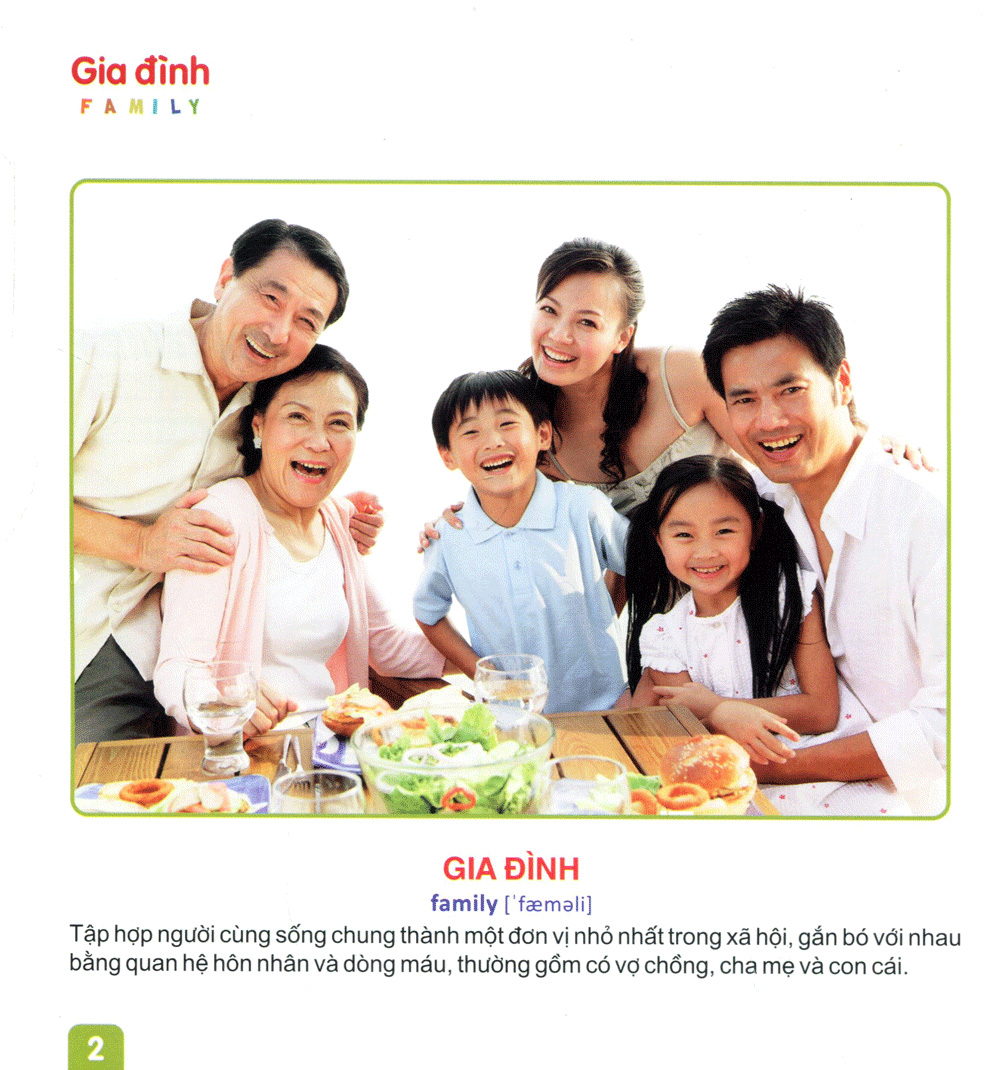 từ điển tranh dành cho thiếu nhi - gia đình, hoạt động, cảm xúc - Ảnh 4