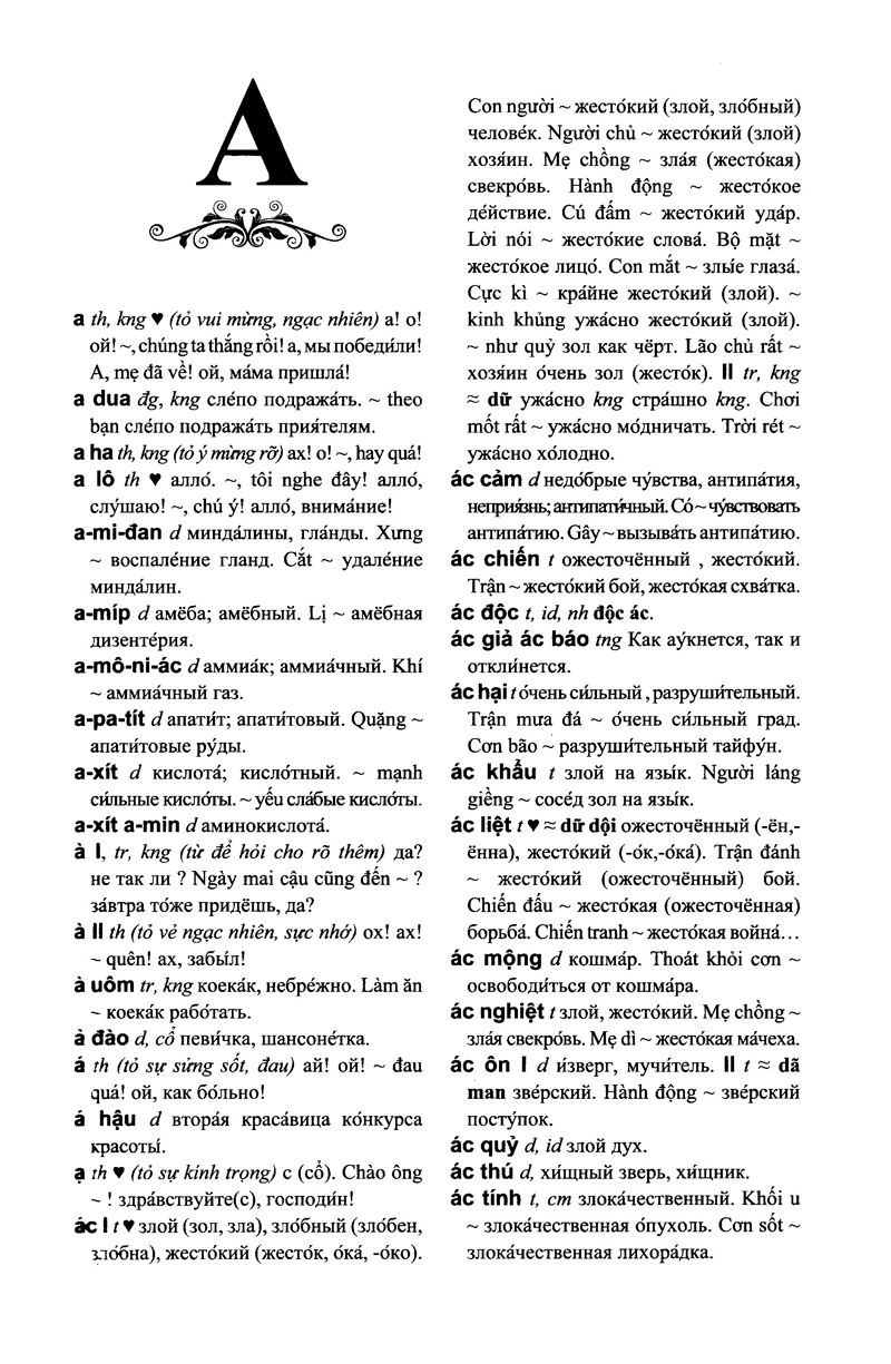 từ điển việt - nga - Ảnh 3