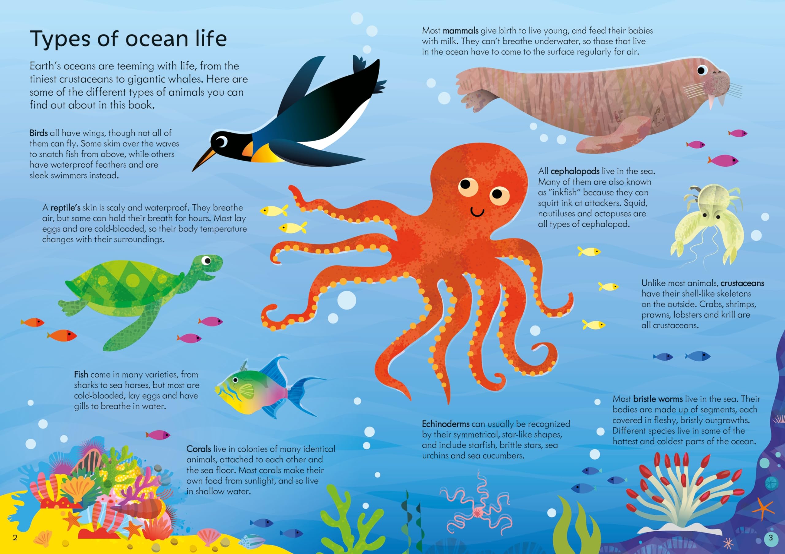 usborne book and jigsaw oceans - Ảnh 8