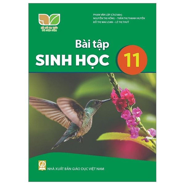 Vat Li 11 (Ket Noi Tri Thuc) (Chuan) - Ảnh 26