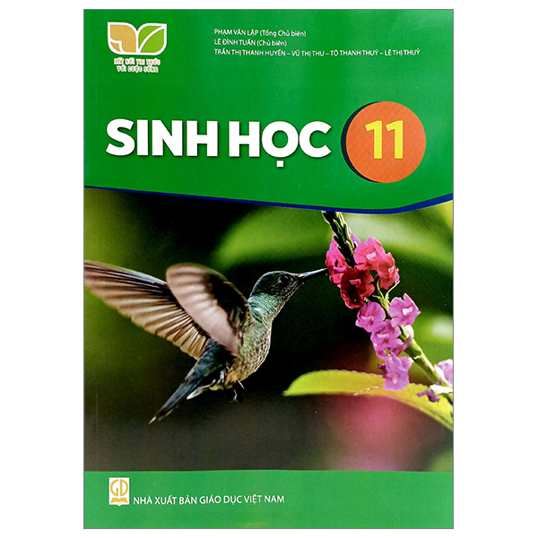 Vat Li 11 (Ket Noi Tri Thuc) (Chuan) - Ảnh 51