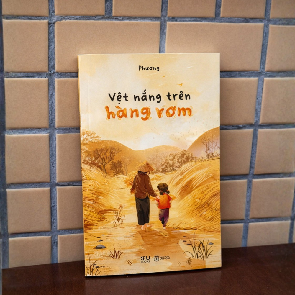 Vệt Nắng Trên Hàng Rơm - Ảnh 4