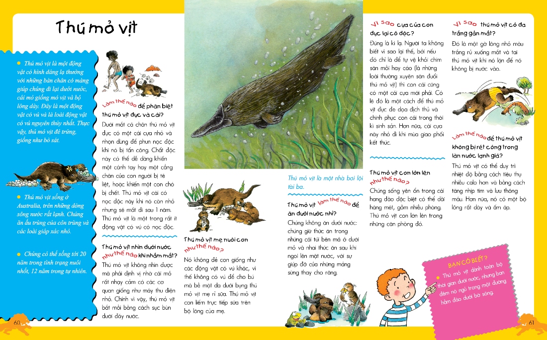 vì sao? như thế nào? động vật (tái bản) - Ảnh 3