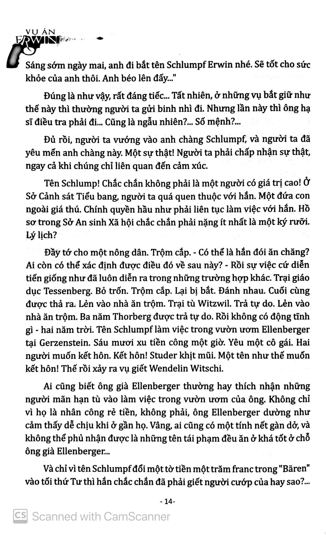 vụ án erwin - Ảnh 7