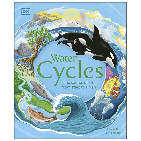 water cycles - Ảnh 2
