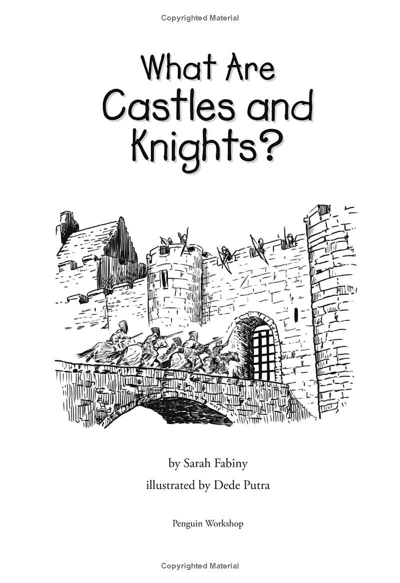 what are castles and knights? - Ảnh 3