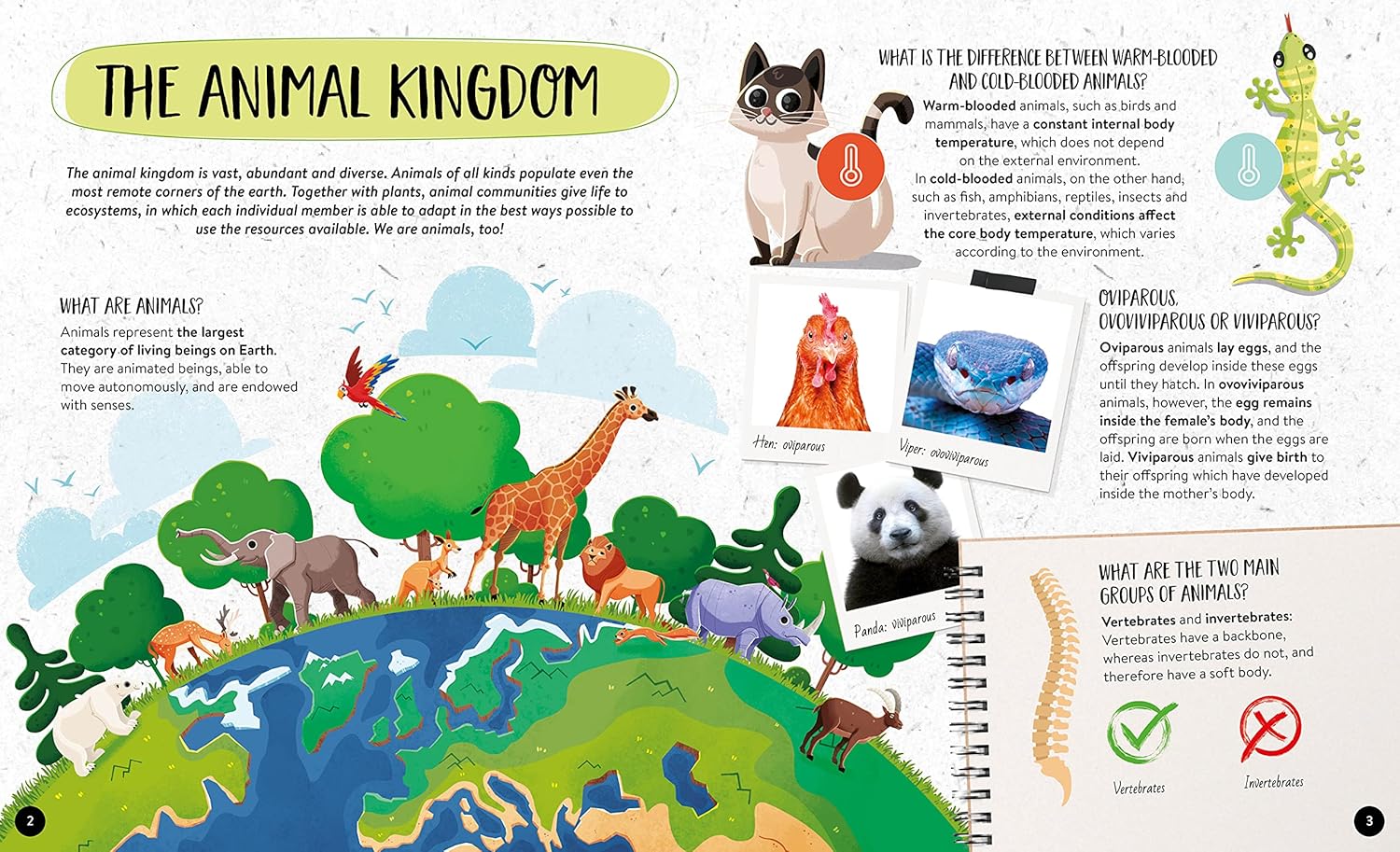 what how why animals - Ảnh 3
