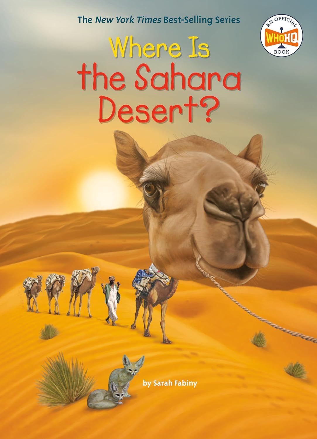where is the sahara desert? - Ảnh 2