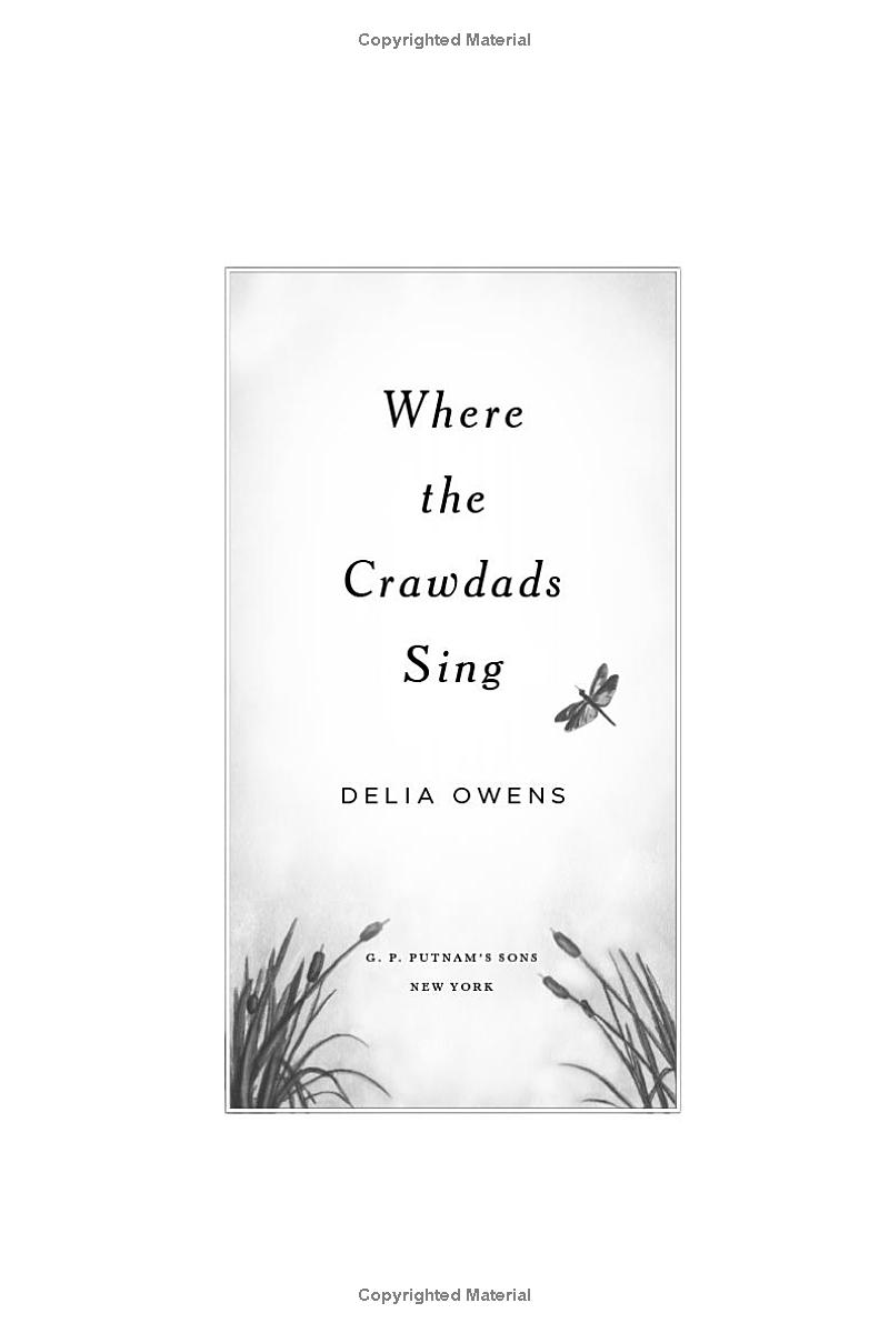 where the crawdads sing - Ảnh 4