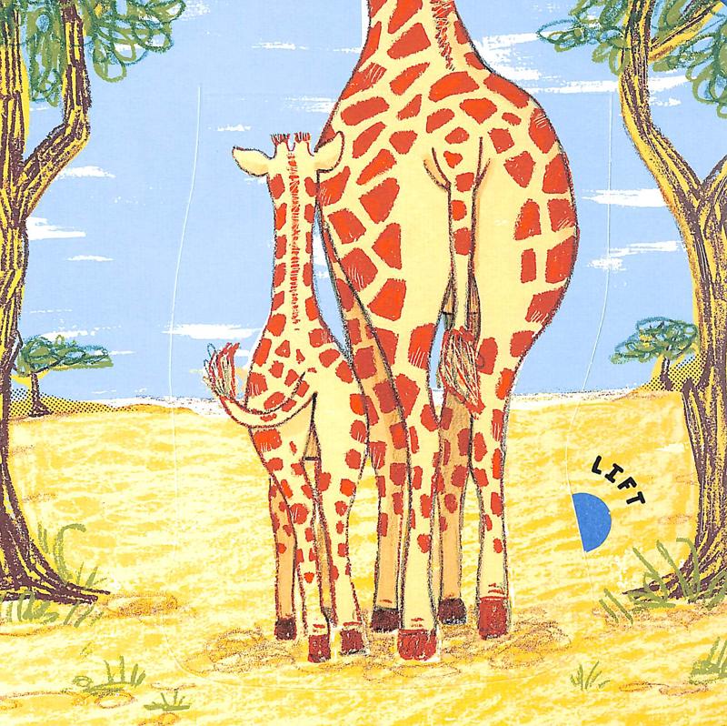 wild bottoms: a lift-the-flap book - Ảnh 7