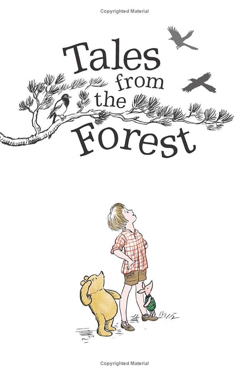winnie-the-pooh - tales from the forest - Ảnh 5