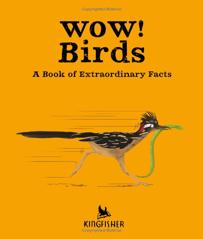 wow! look what birds can do! - Ảnh 4