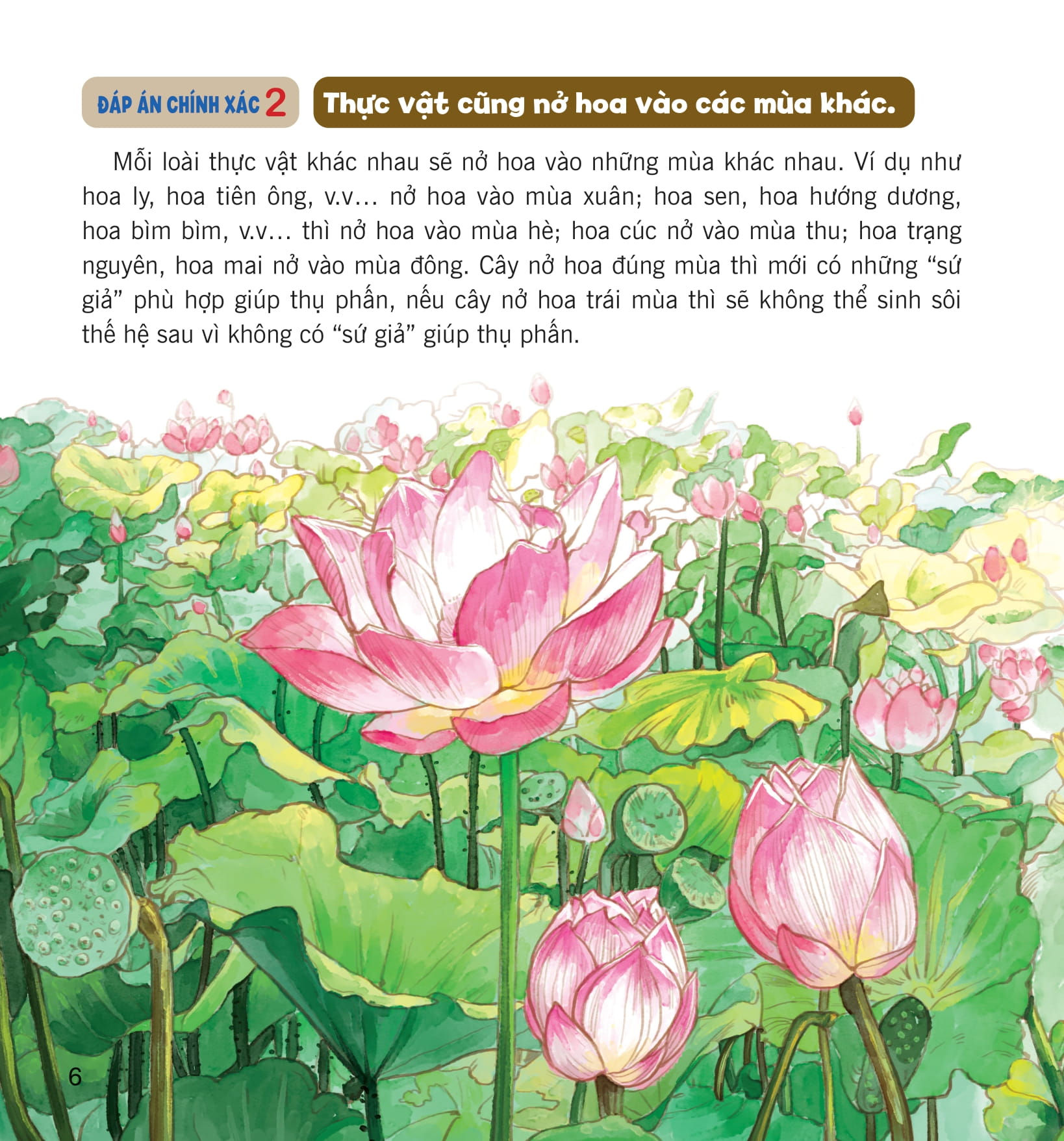 wow, thì ra là thế! - bí mật nhỏ của thực vật - Ảnh 13