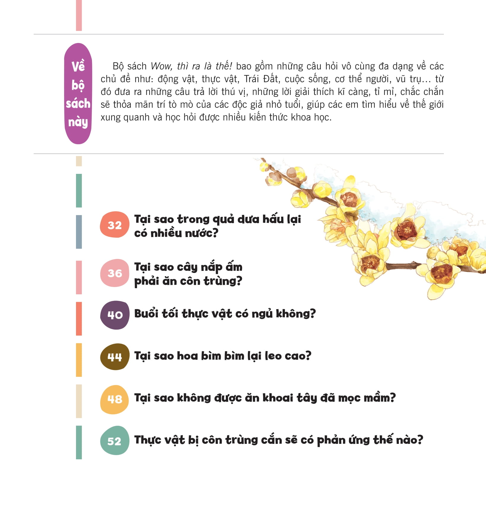 wow, thì ra là thế! - bí mật nhỏ của thực vật - Ảnh 7