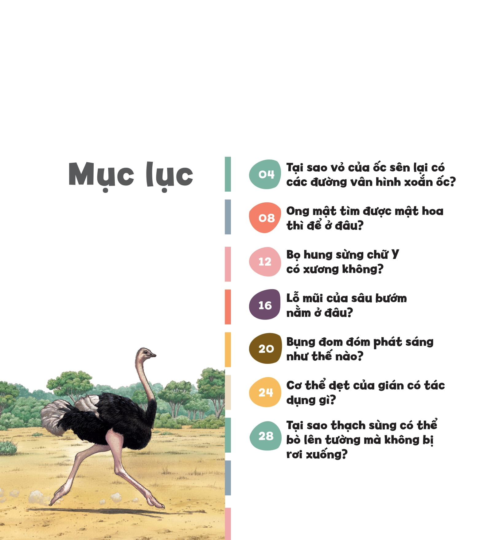 wow, thì ra là thế! - cơ thể của động vật - Ảnh 5