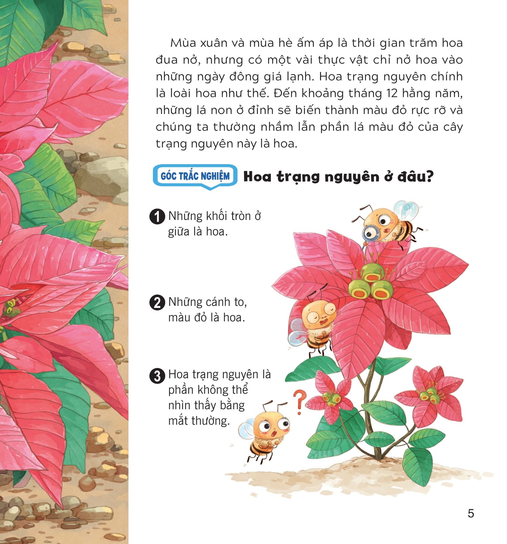 wow, thì ra là thế! - sự sinh trưởng của thực vật - Ảnh 10