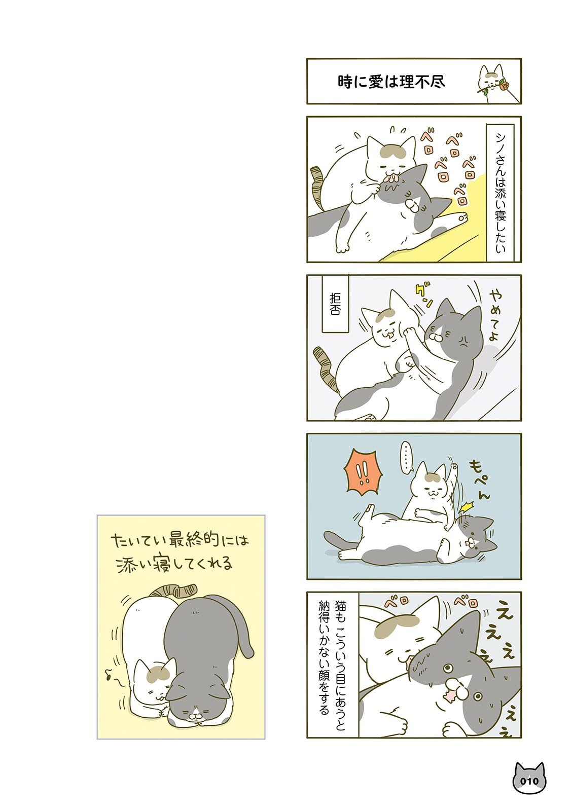 うちの猫がまた変なことしてる。- uchi no neko ga mata hen na koto shiteru. 3 - Ảnh 12