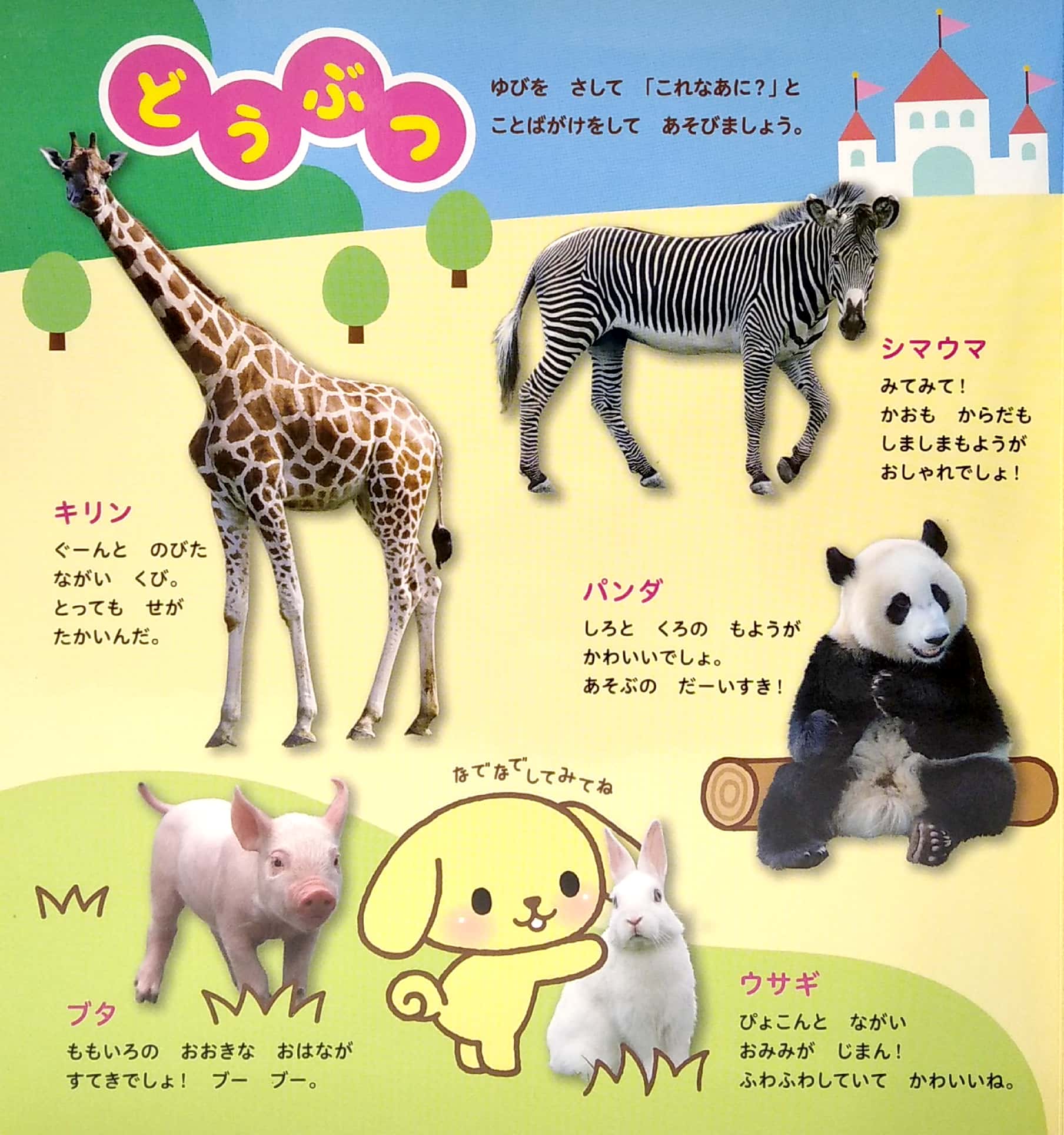 はじめてひゃっか: はじめてのえほん - hajimete hi yakka - Ảnh 3