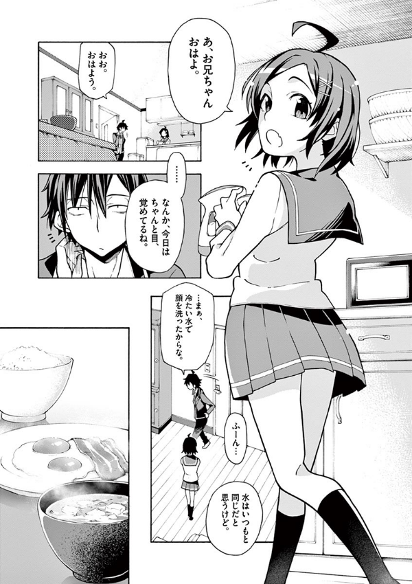 やはり俺の青春ラブコメはまちがっている - yahari ore no seishun rabukome wa machigatteiru 10 - my teen romantic comedy snafu - Ảnh 6