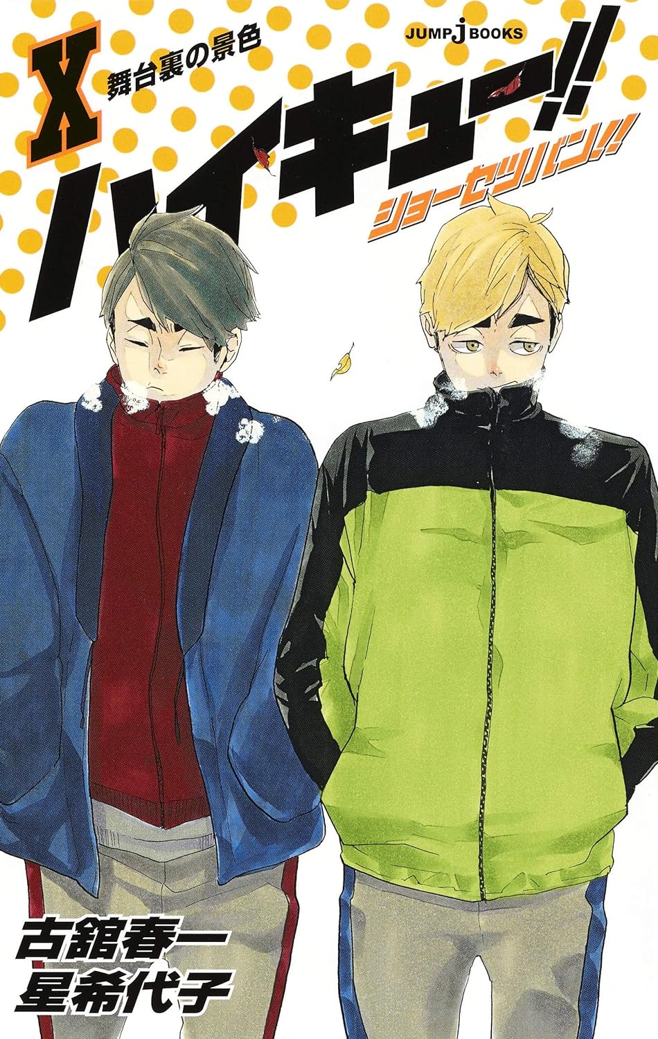 ハイキュー!! ショーセツバン!! 10 - haikyu!! shosetsu ban!! 10 - Ảnh 2