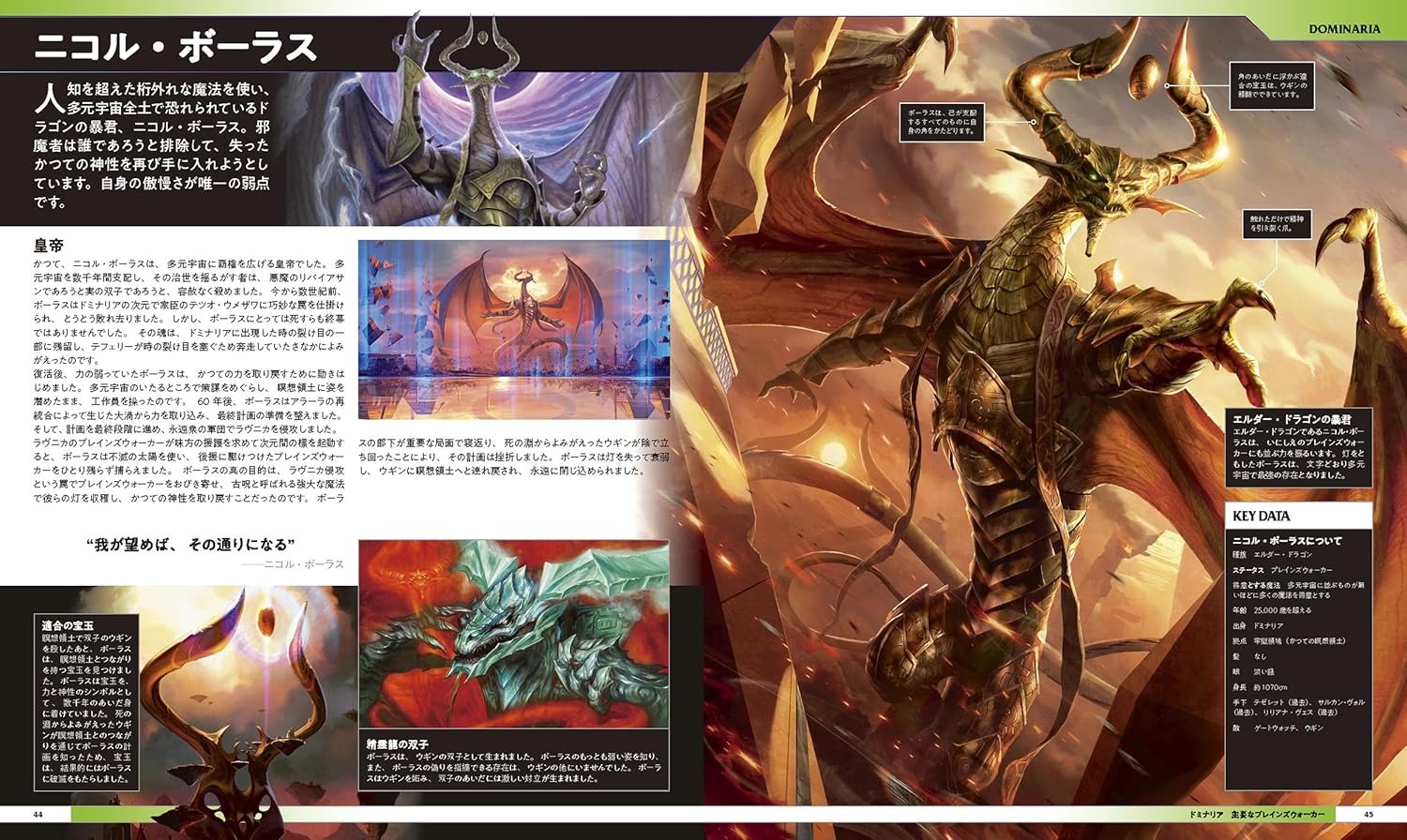 マジック:ザ・ギャザリング ビジュアルガイドブック - Magic: The Gathering Visual Guidebook - Ảnh 5