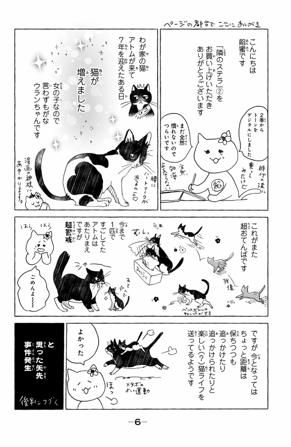 隣のステラ - tonari no stella - stella next to me 2 - Ảnh 12
