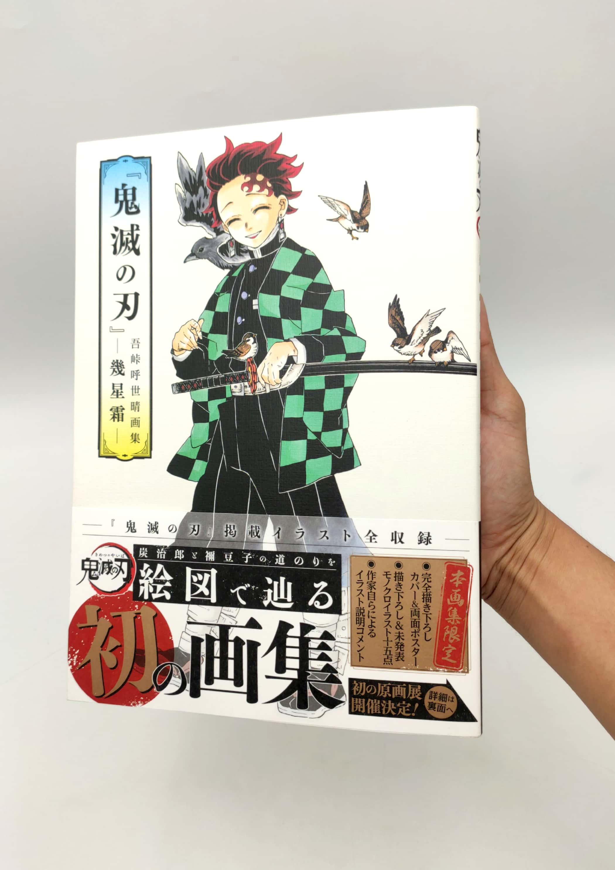 鬼滅の刃』吾峠呼世晴画集―幾星霜― “ kimetsu no yaiba ” waretouge ko yo hare gashuu - ikuseisou - - Ảnh 11